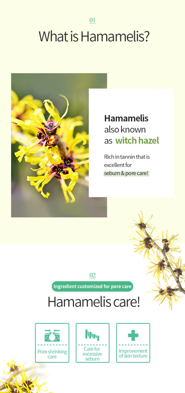 [Apieu] HAMAMELIS PORE BALM 20g - Image 4