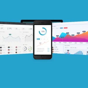 MyndQUEST - Business Intelligence by Critical Logistics