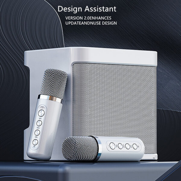 Portable Professional Karaoke Dual Microphone Bluetooth Speaker