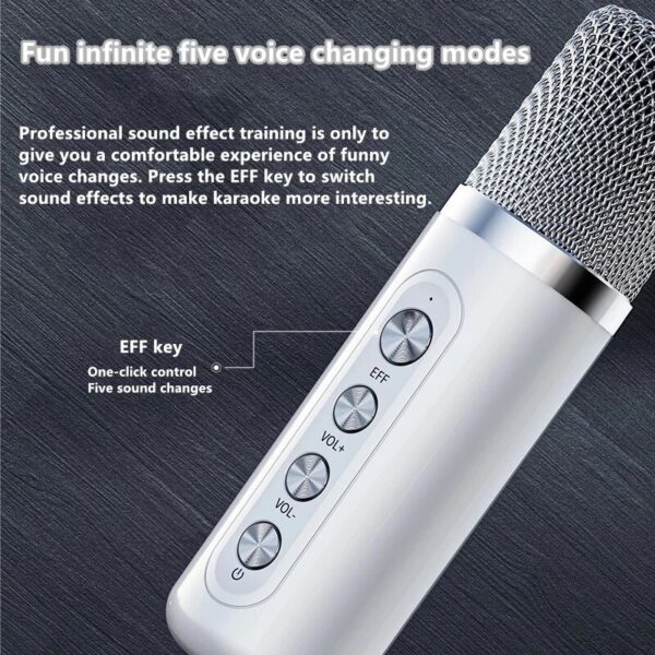 Portable Professional Karaoke Dual Microphone Bluetooth Speaker - Image 2