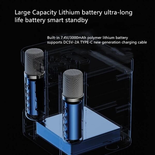 Portable Professional Karaoke Dual Microphone Bluetooth Speaker - Image 4